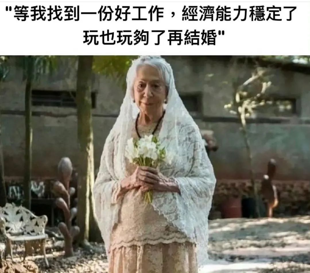 每日meme