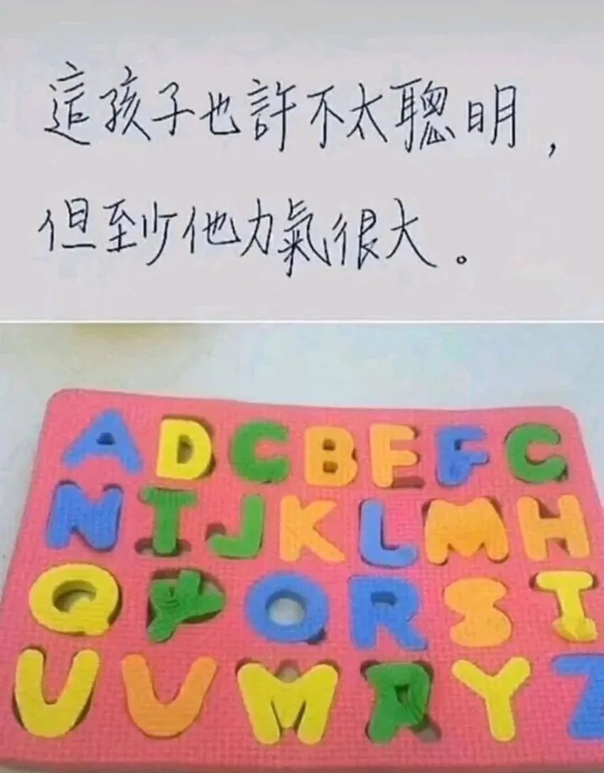 每日meme