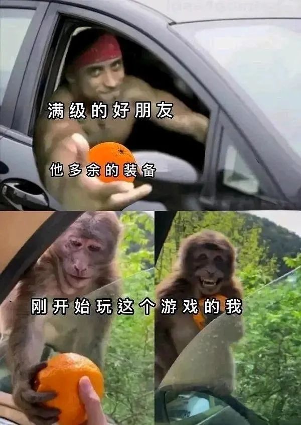 每日meme