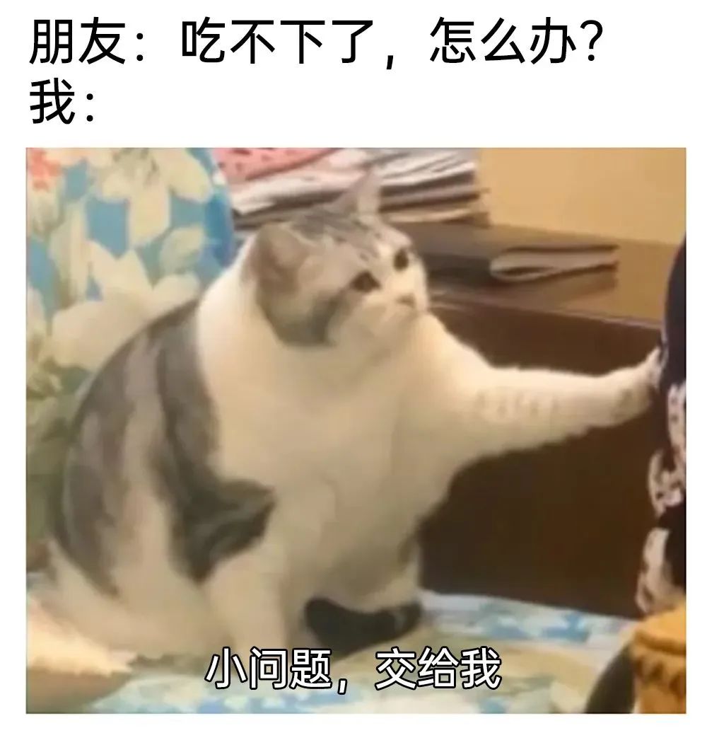 每日meme