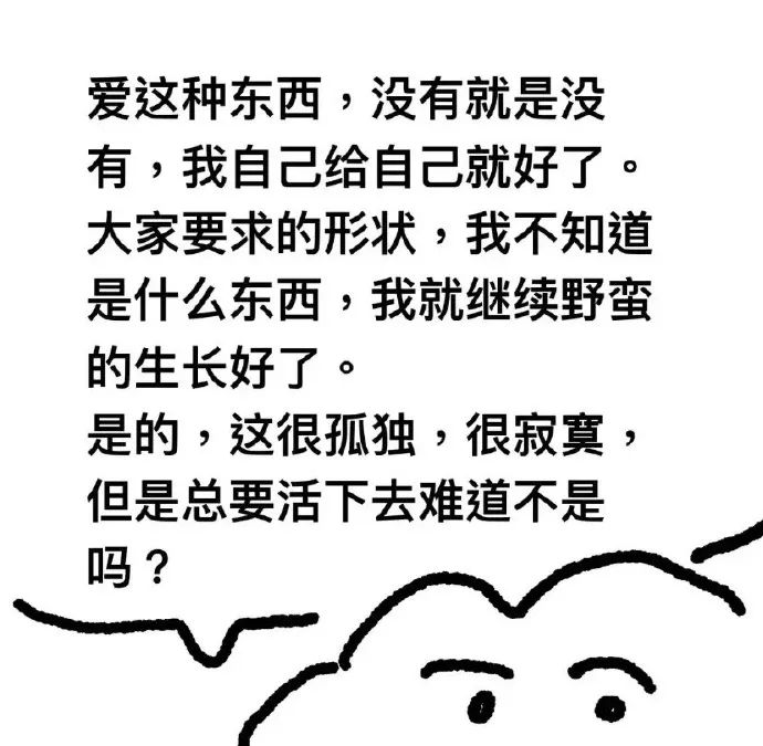 每日meme