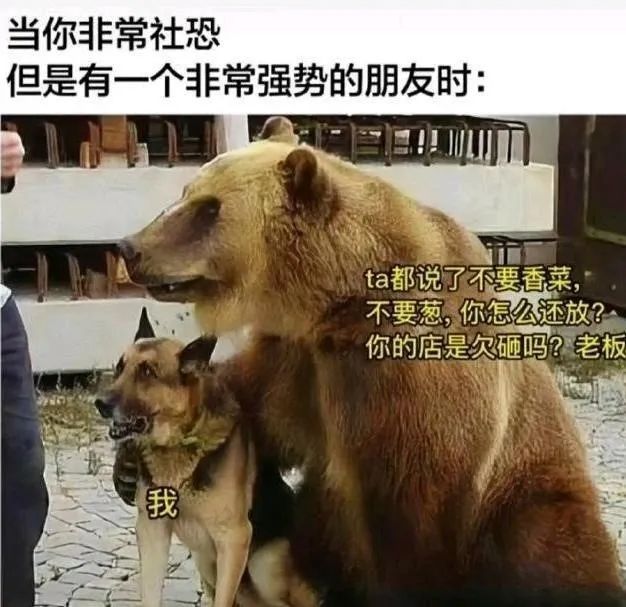 每日meme
