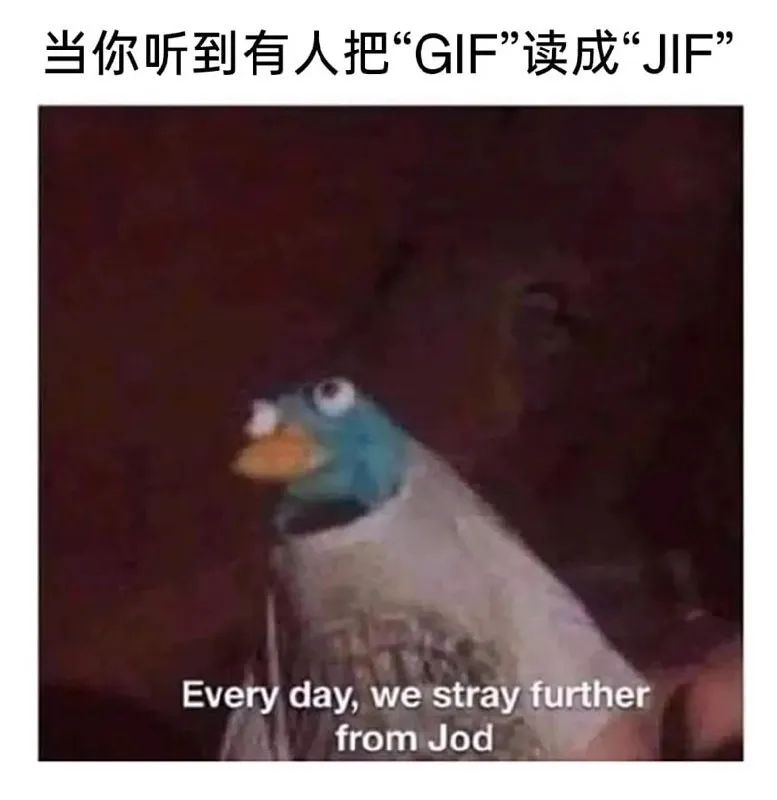 每日meme