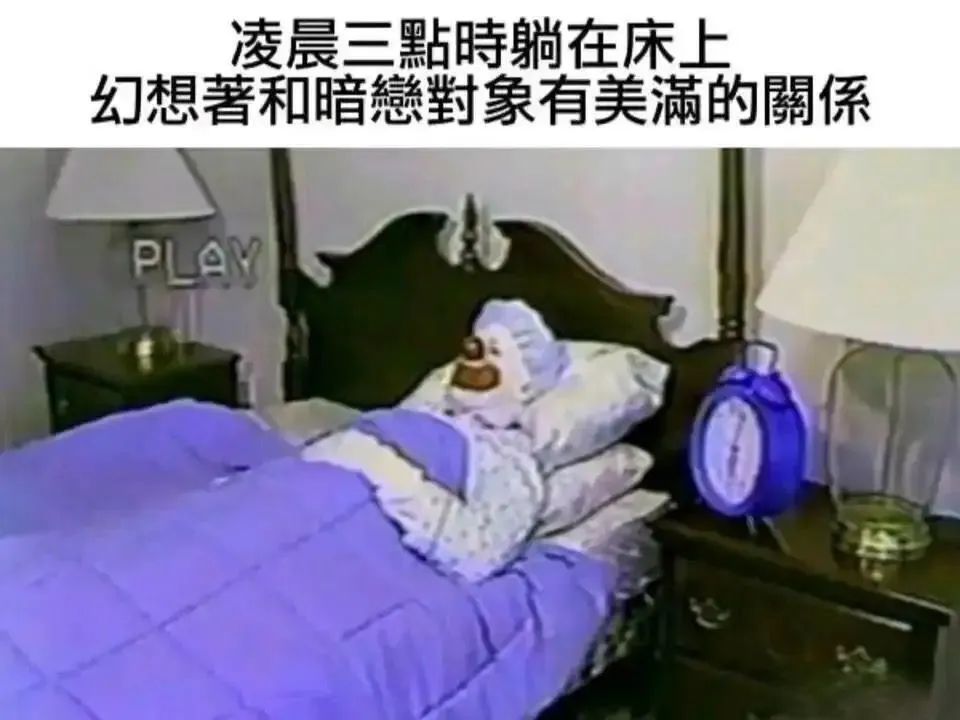 每日meme