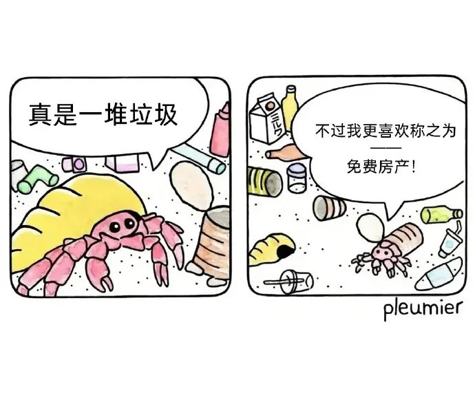 每日meme