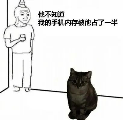 每日meme
