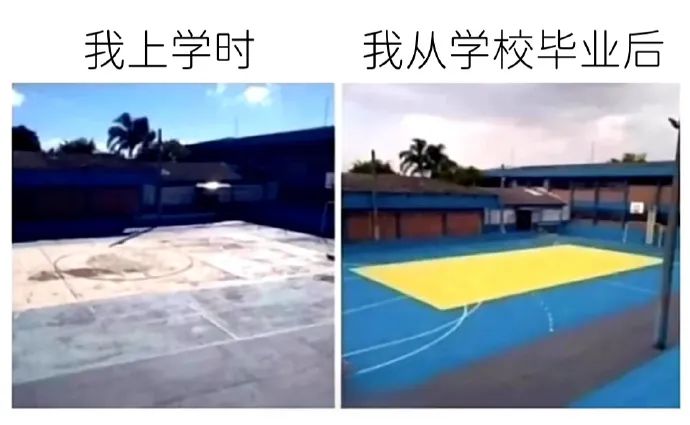 每日meme
