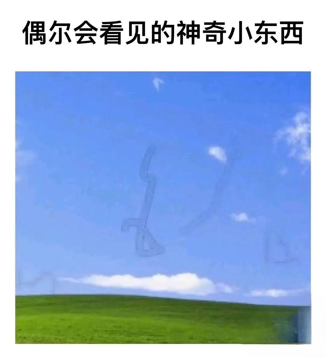 每日meme