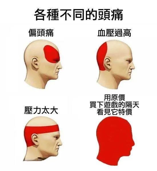 每日meme