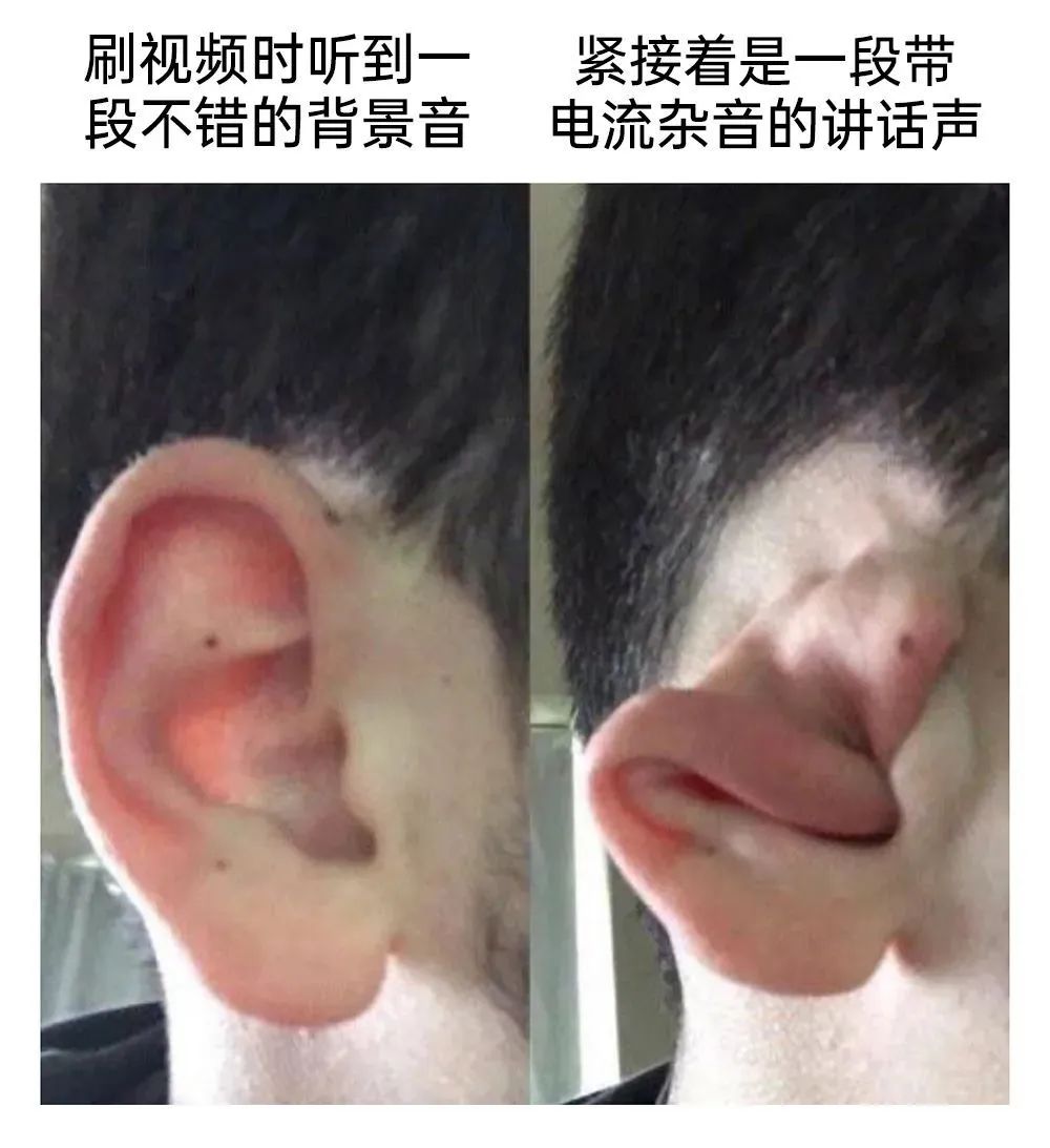每日meme