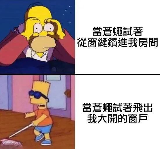 每日meme