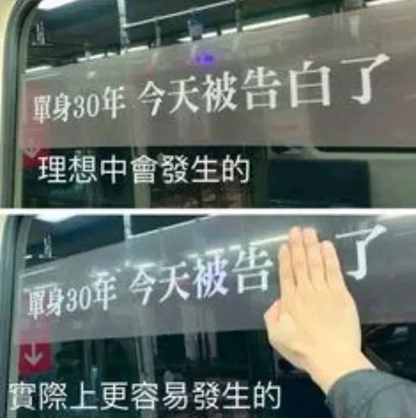 每日meme