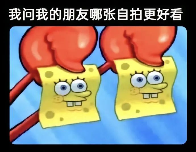 每日meme