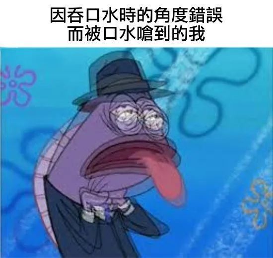 每日meme