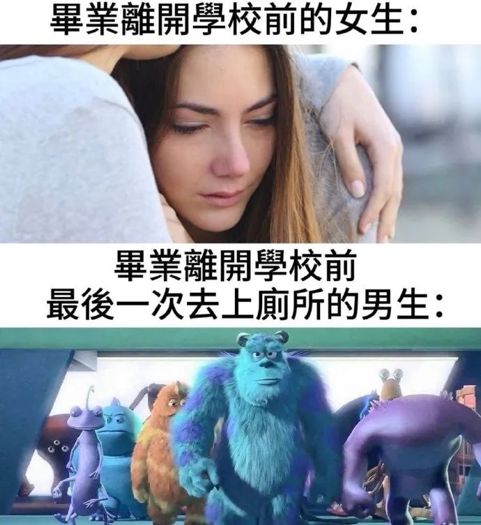 每日meme
