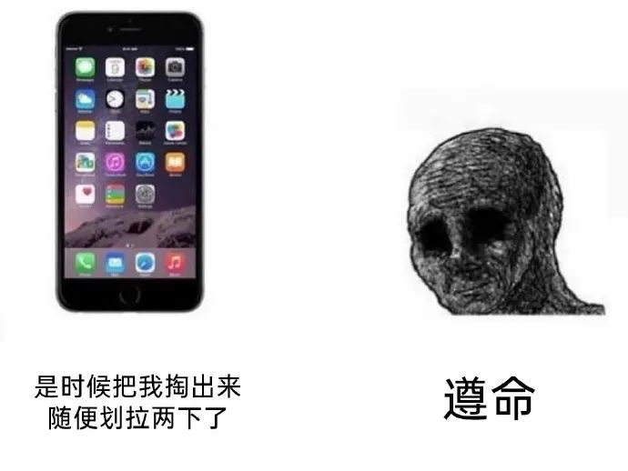 每日meme