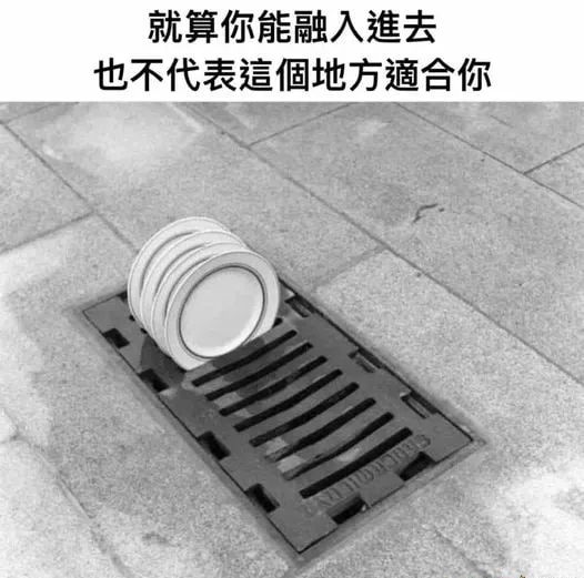 每日meme