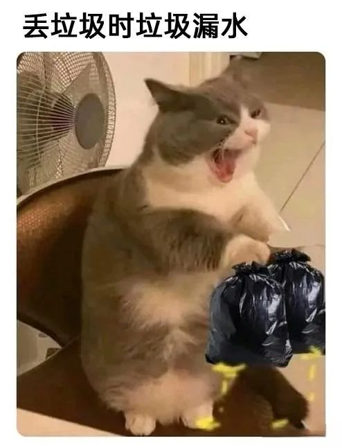 每日meme