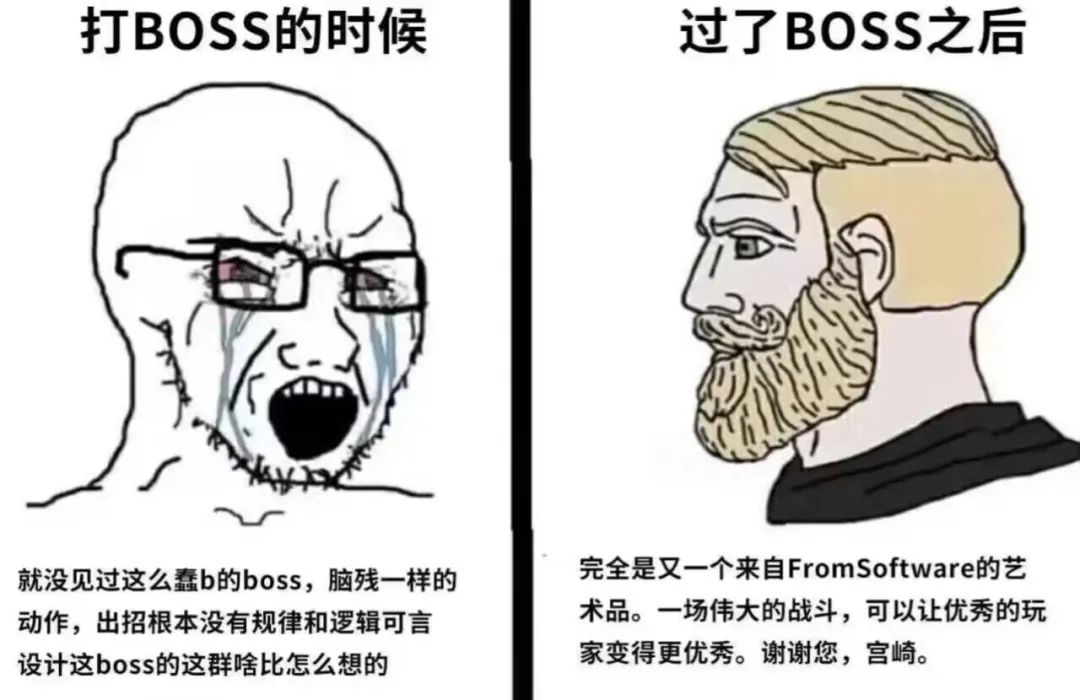 每日meme