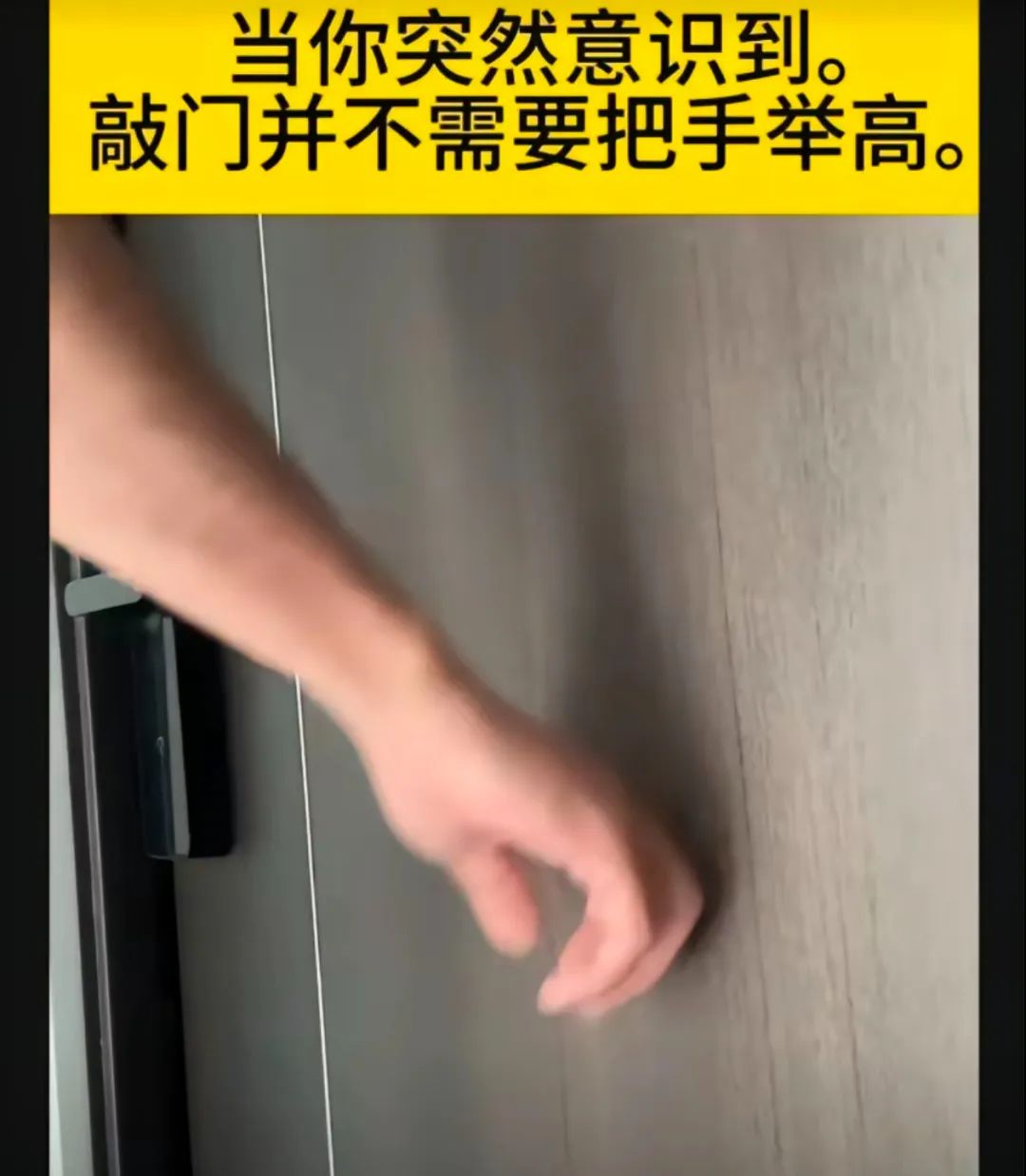 每日meme