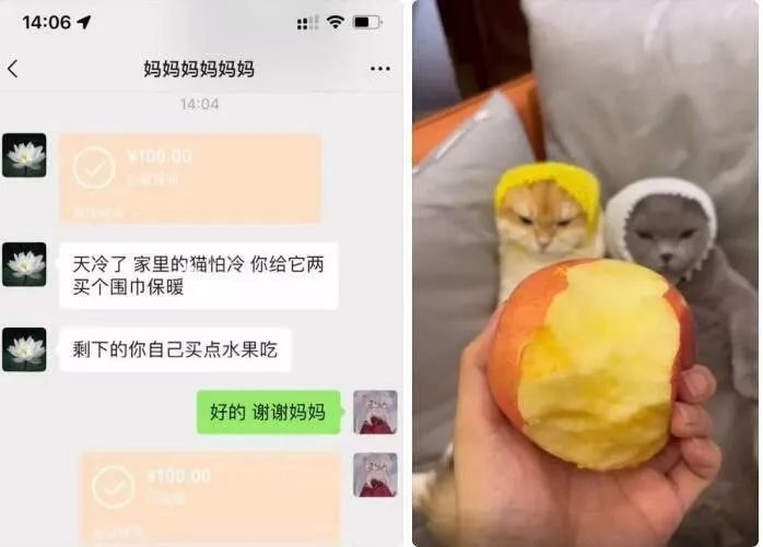 每日meme