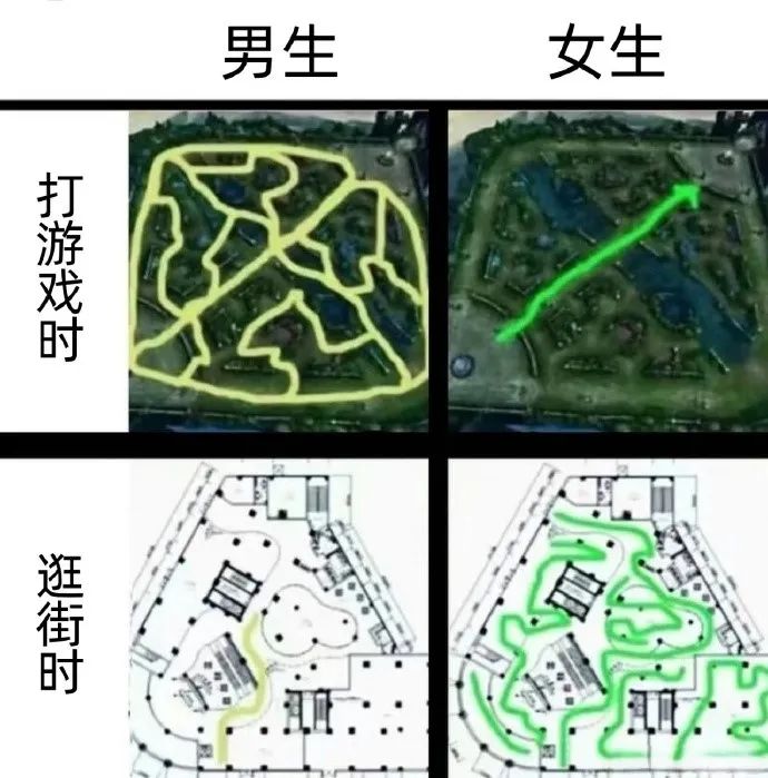 每日meme