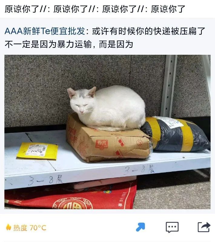 每日meme