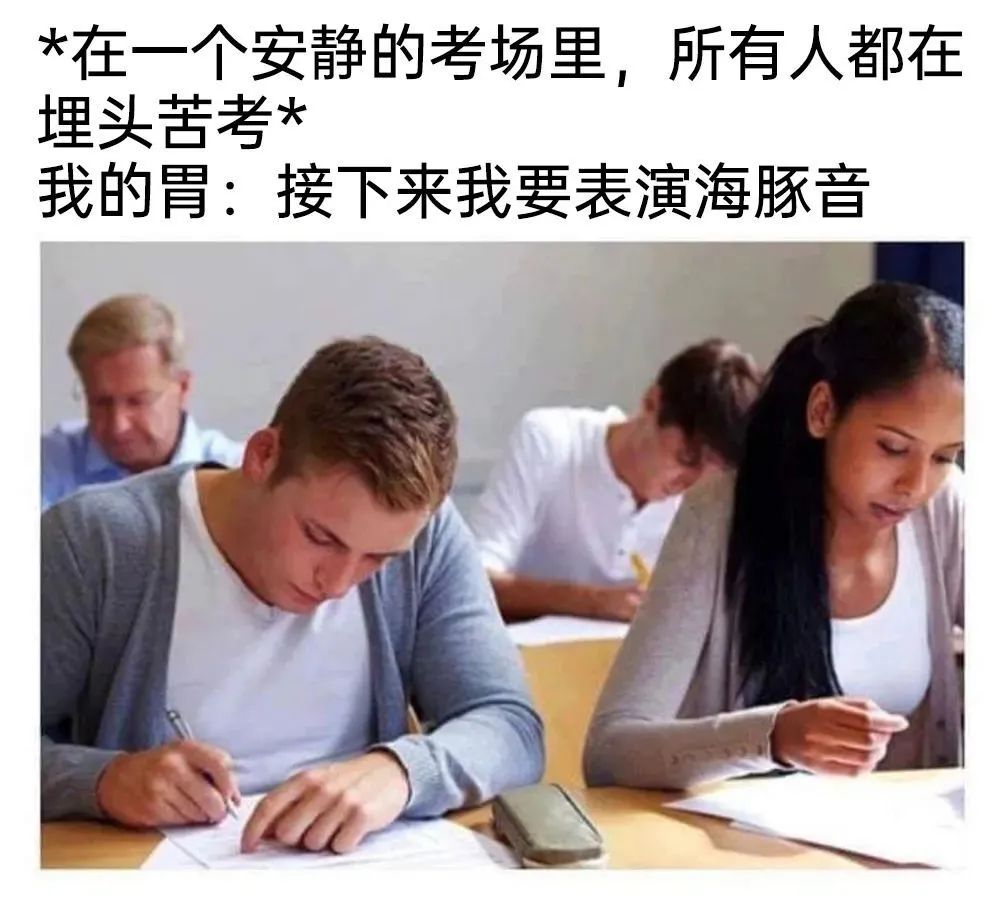 每日meme
