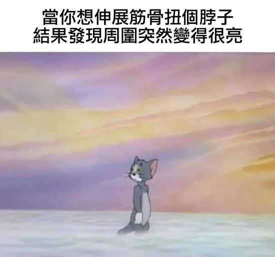 每日meme