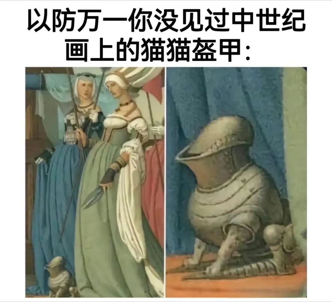 每日meme