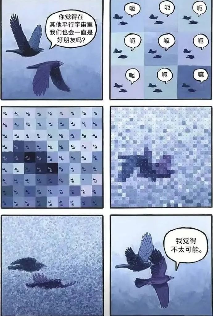 每日meme