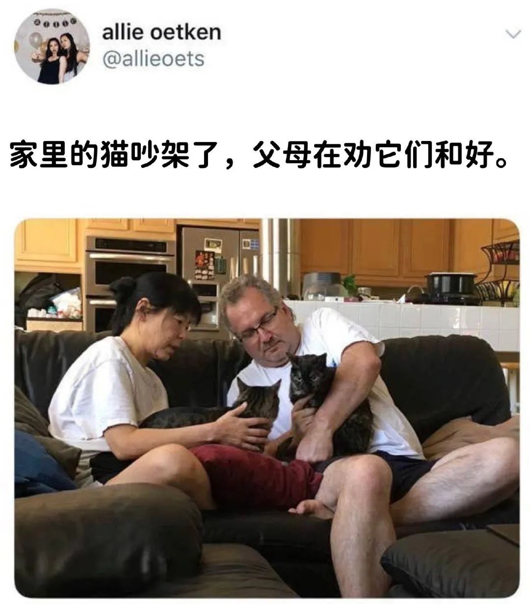 每日meme