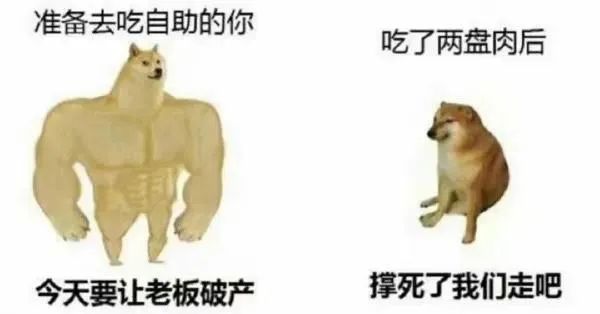 每日meme