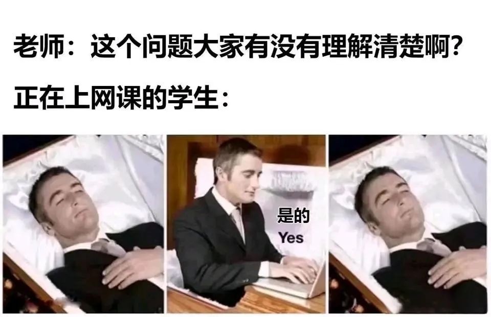 每日meme