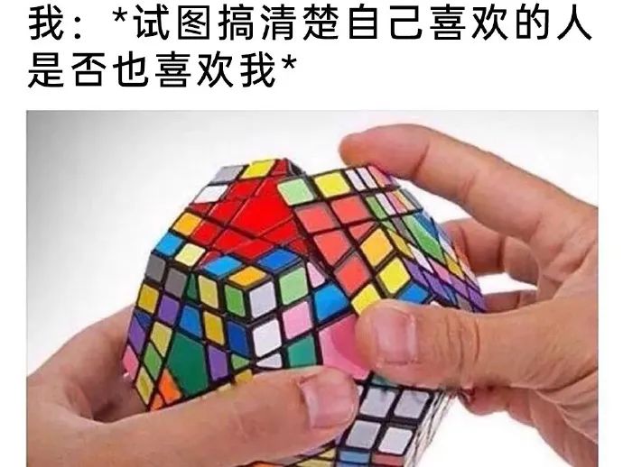 每日meme