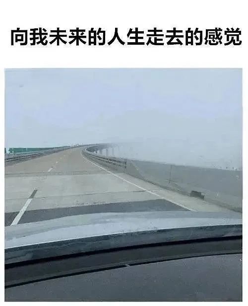 每日meme