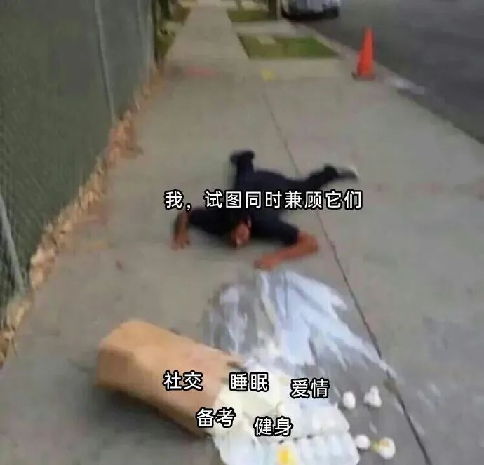 每日meme