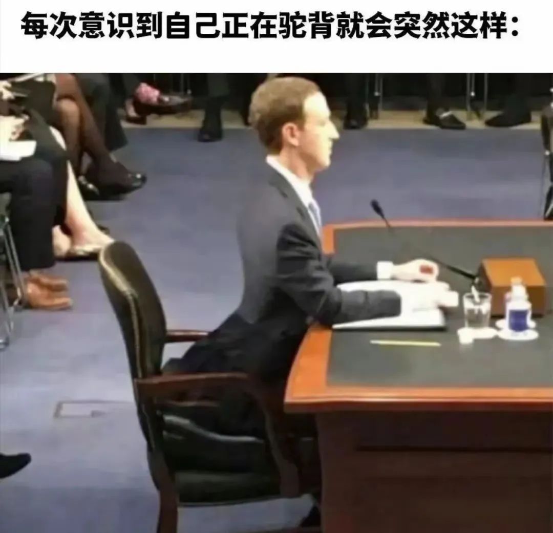 每日meme