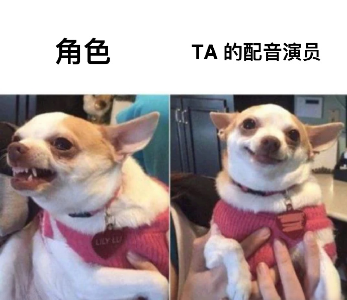每日meme