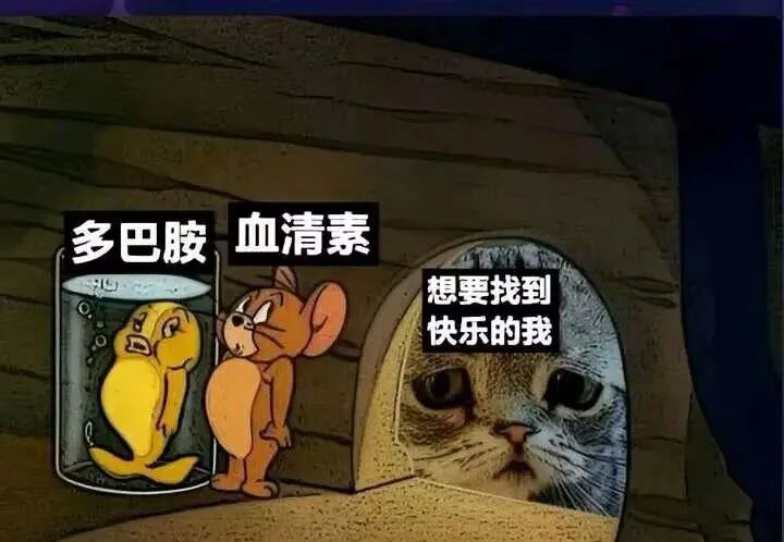 每日meme