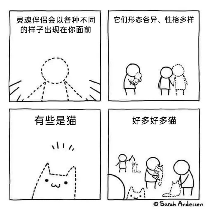 每日meme