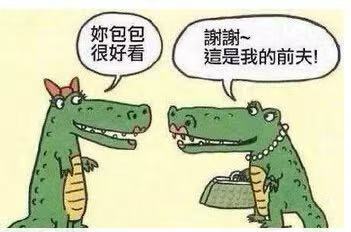 每日meme
