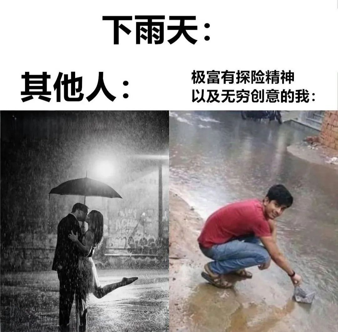 每日meme