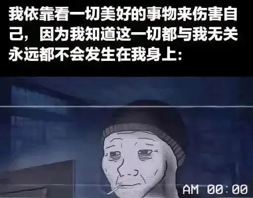 每日meme