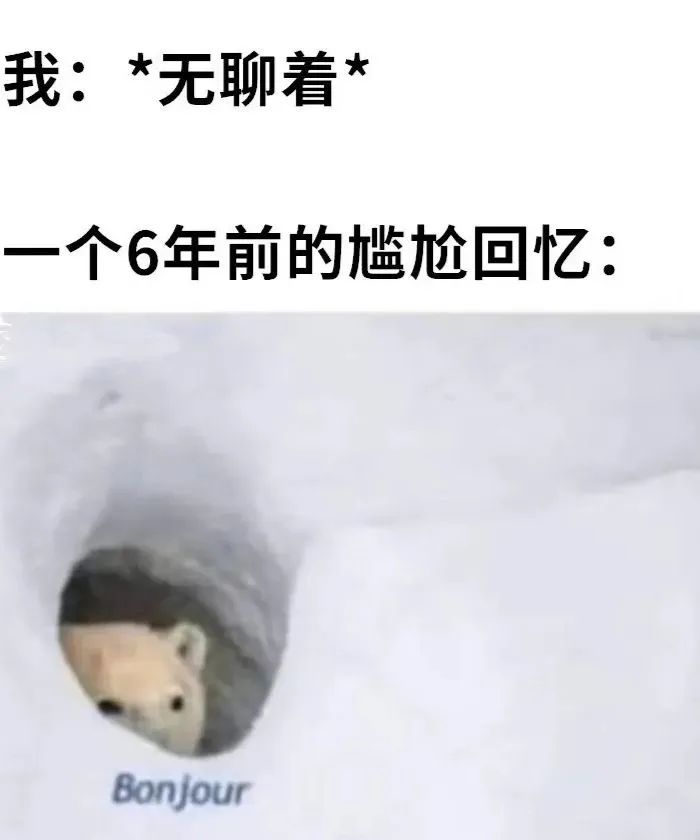 每日meme