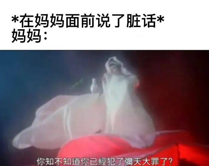 每日meme