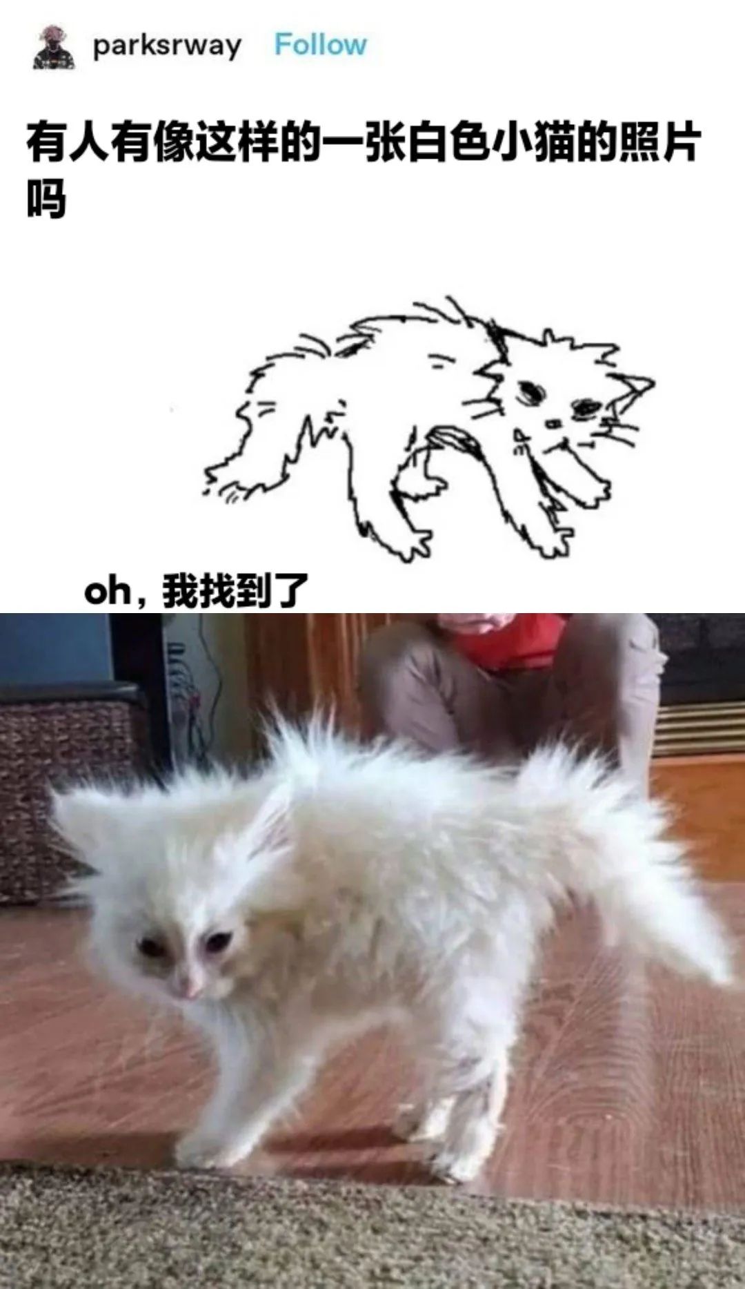 每日meme