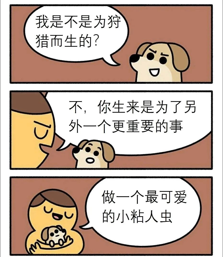 每日meme