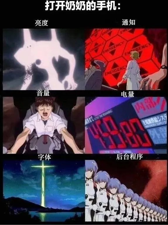 每日meme