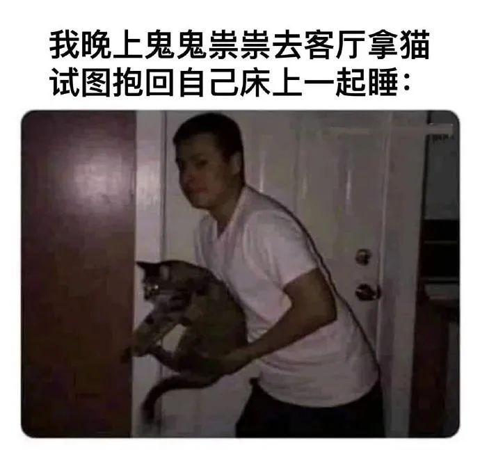 每日meme